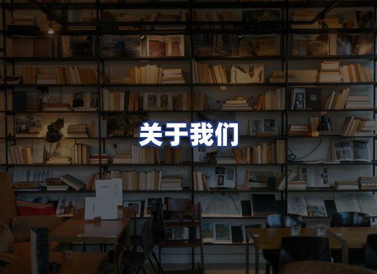 专业团队